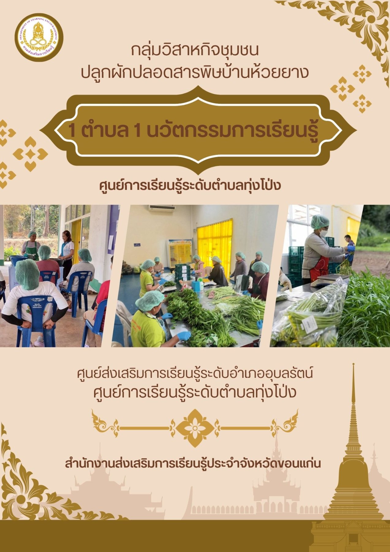 กลุ่มวิสาหกิจชุมชนปลูกผักปลอดสารพิษบ้านห้วยยาง