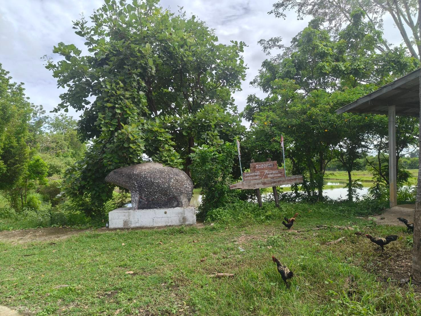 การปลูกผักปลอดภัยจากสารพิษหนองตะนา  บ้านห้วยเตย
