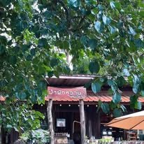 ป่าผักหวาน ฟาร์ม คาเฟ่ อ.หนองเรือ ขอนแก่น パ・パク・ワン