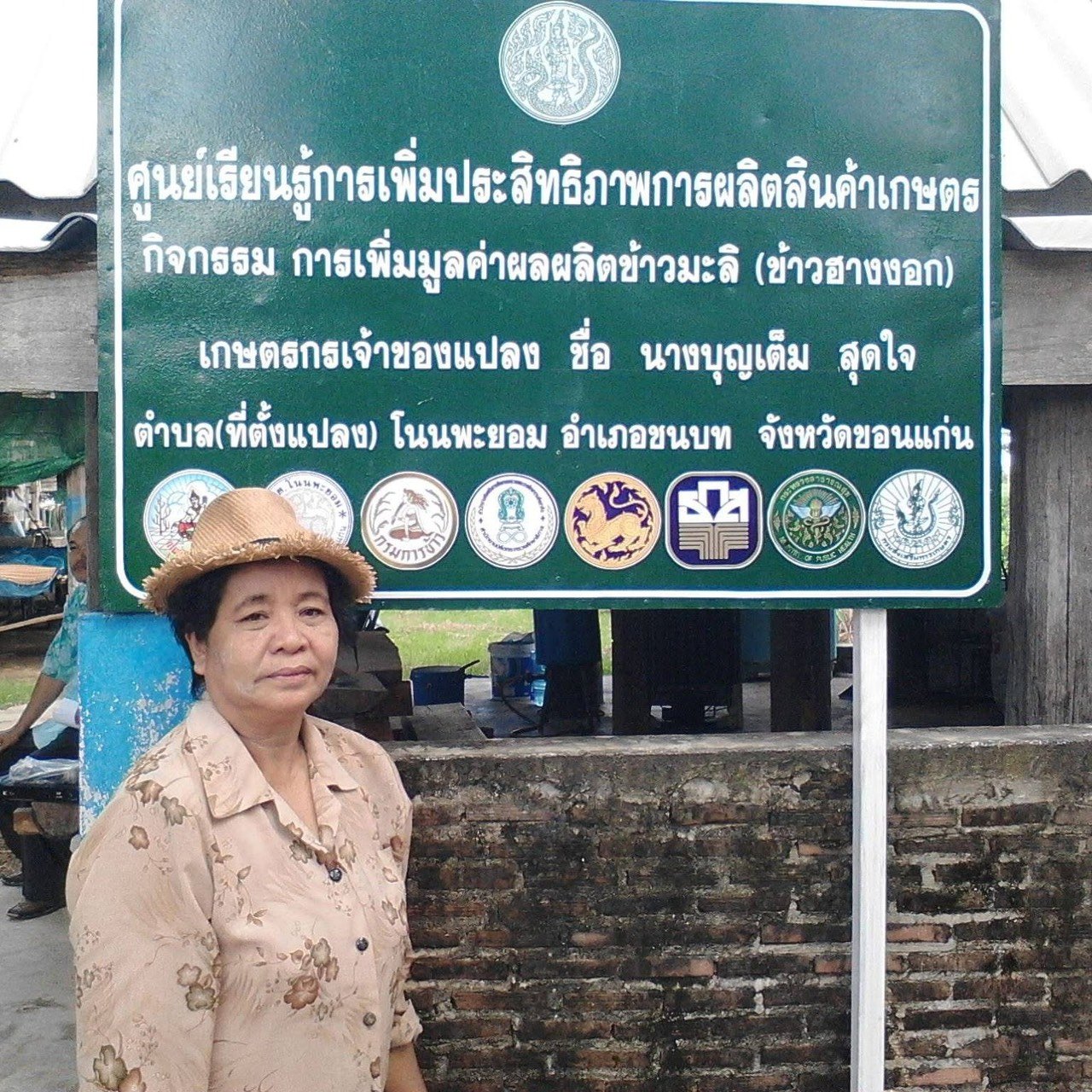 ภูมิปัญญาท้องถิ่น การทำข้าวฮางงอก