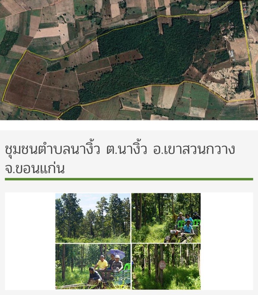 ป่าชุมชนบ้านนางิ้ว – นาโพธิ์