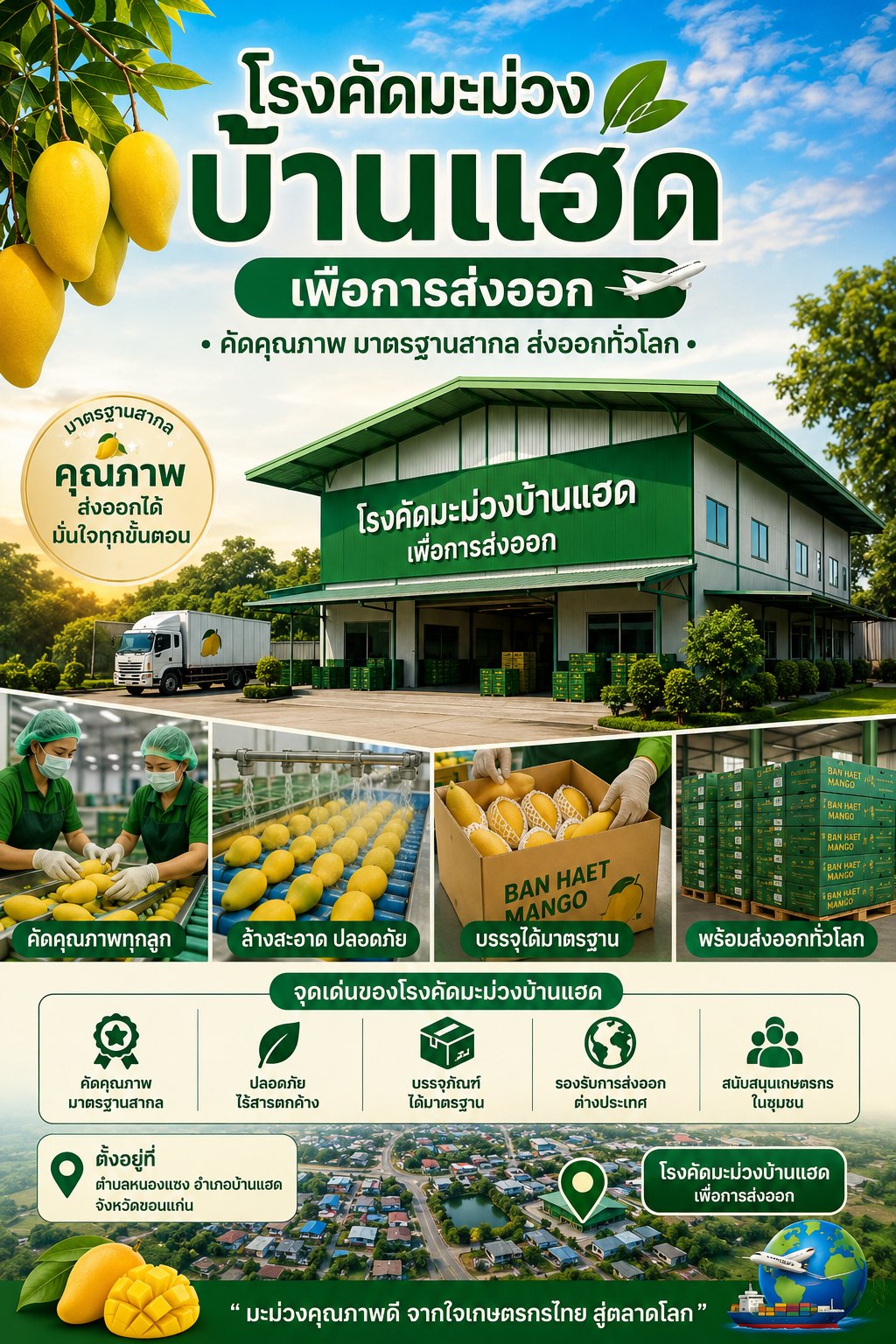 โรงคัดมะม่วงบ้านแฮดเพื่อการส่งออก