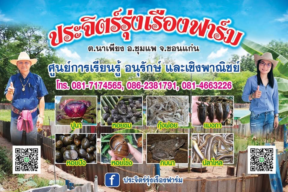 ศูนย์อนุรักษ์เรียนรู้เชิงพาณิชย์