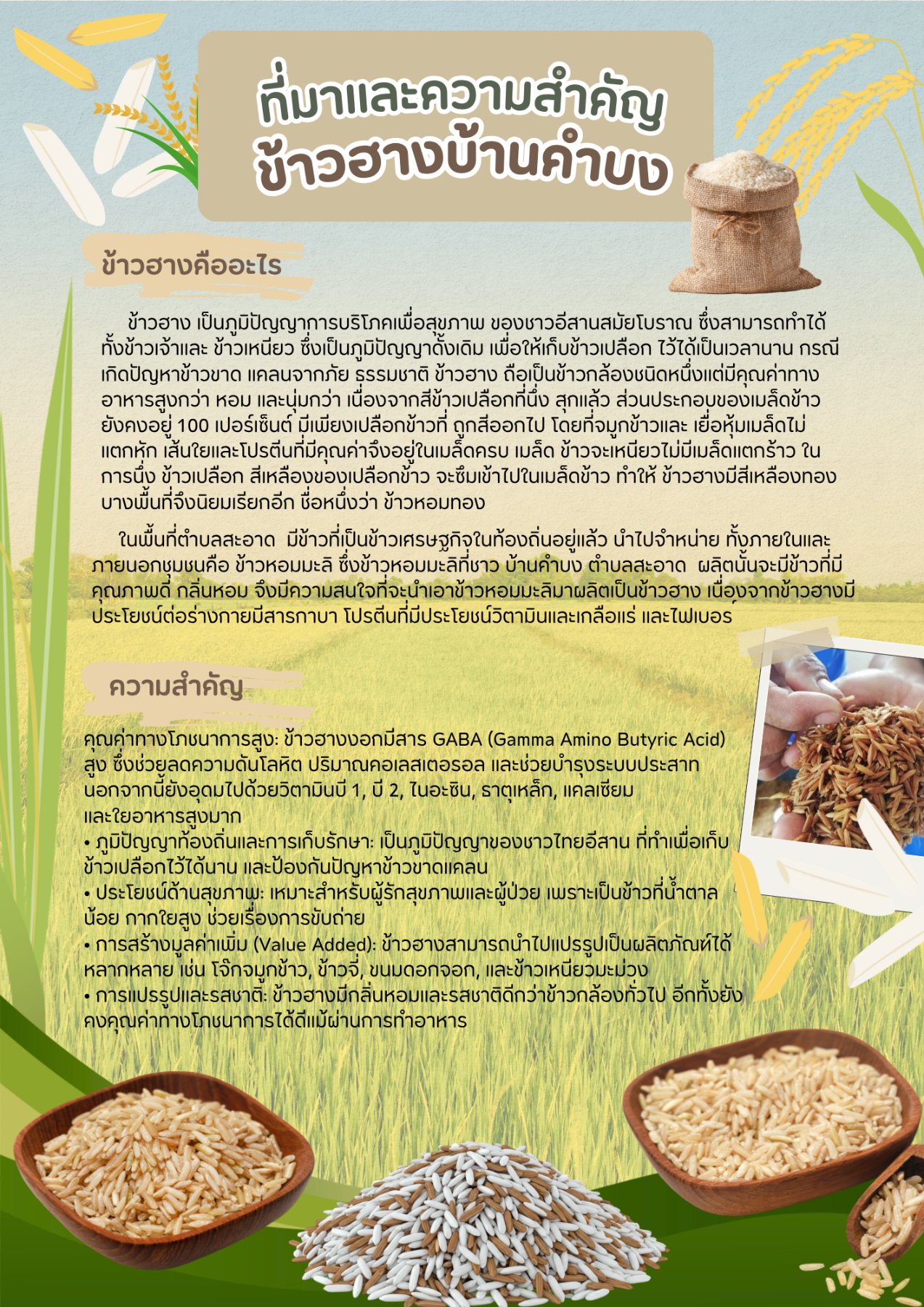 ประวัติความเป็นมา
