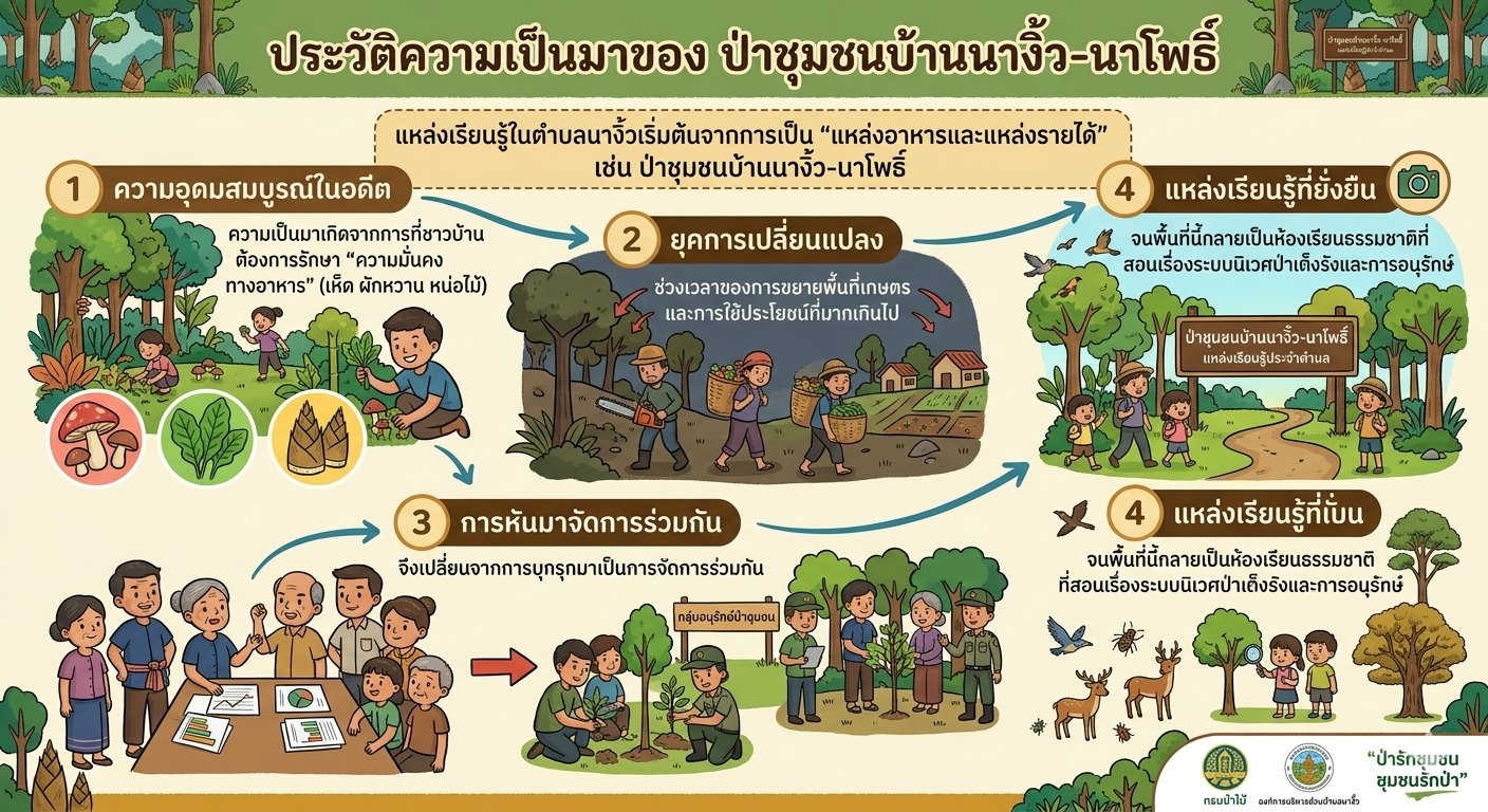 ประวัติความเป็นมา